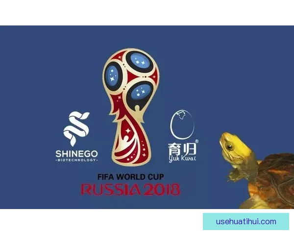 世界杯竞猜胜负核心技巧与数据分析提升命中率实战指南分享三大思路